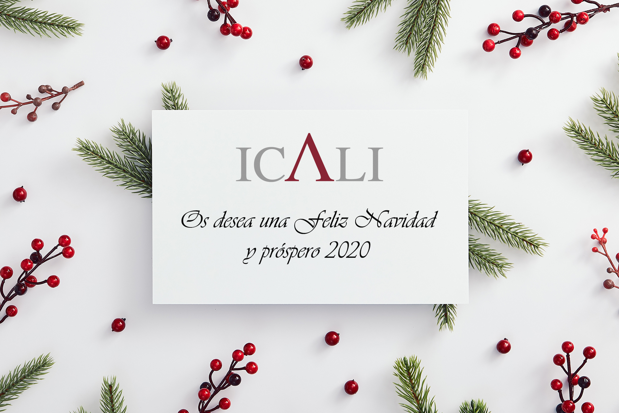 ¡Felices Fiestas!